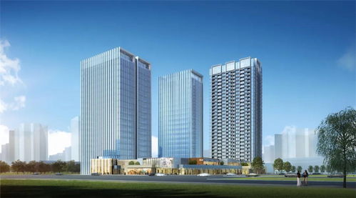 福永中晟會港灣 一份基于內部資料的深度價值分析報告